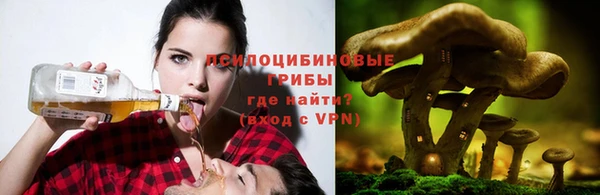 герыч Лиски