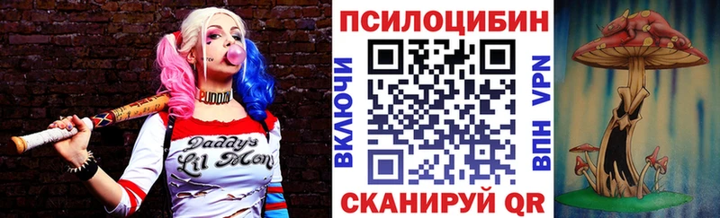 Галлюциногенные грибы Psilocybe  наркошоп  ОМГ ОМГ   Ачхой-Мартан 